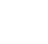 Twitter Icon